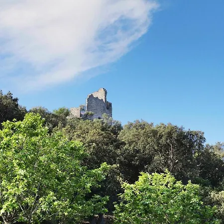 Residence Prestige La Palmeraie Grimaud - Caz01455-Cyb